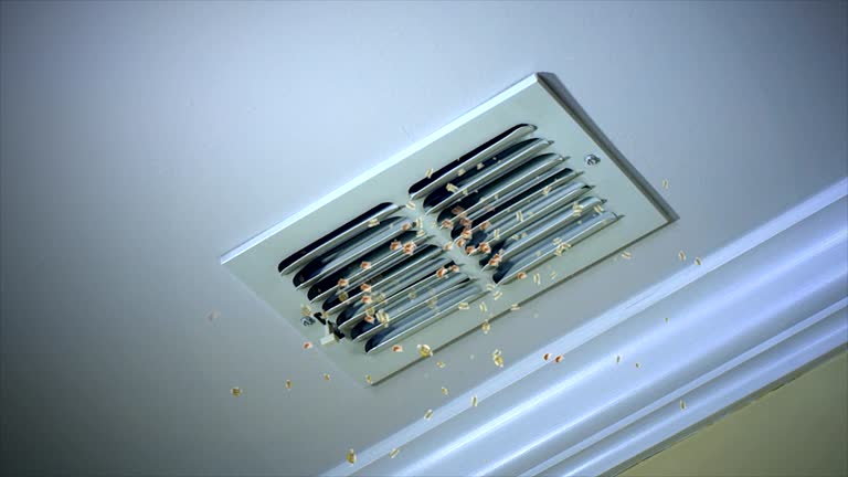 Best Affordable HVAC Duct Cleaning  in Pine City, MN