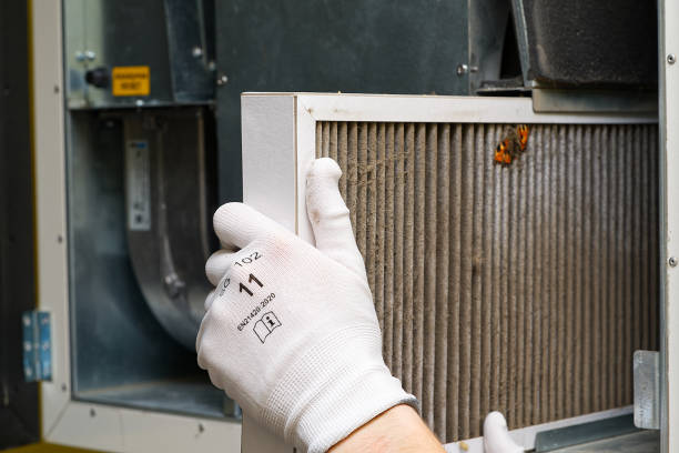 Best Air Duct Inspection  in Pine City, MN