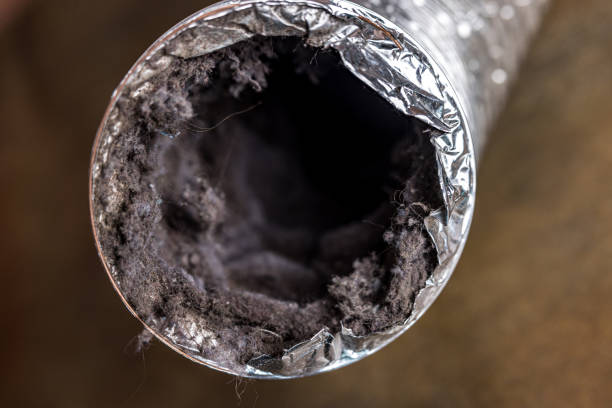 Best Air Vent Cleaning Services  in Pine City, MN