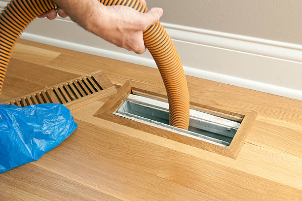 Best Emergency Air Duct Cleaning  in Pine City, MN