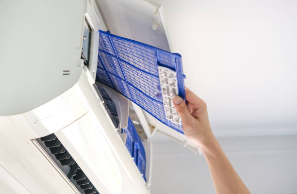 Best Affordable Duct Cleaning Services  in Pine City, MN